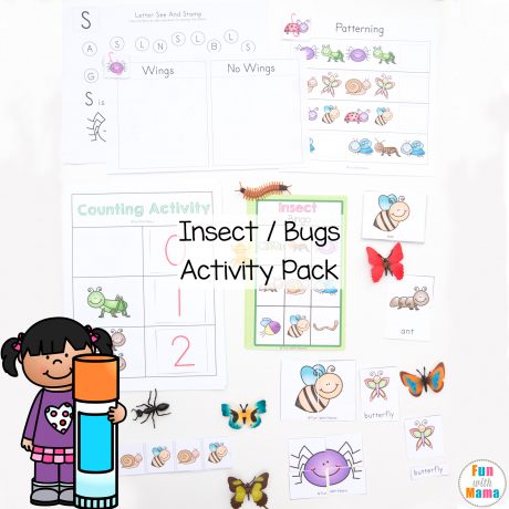 printable insect activity pack for preschoolers