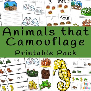 Animals that Camouflage Activities Pack - Fun with Mama Shop
