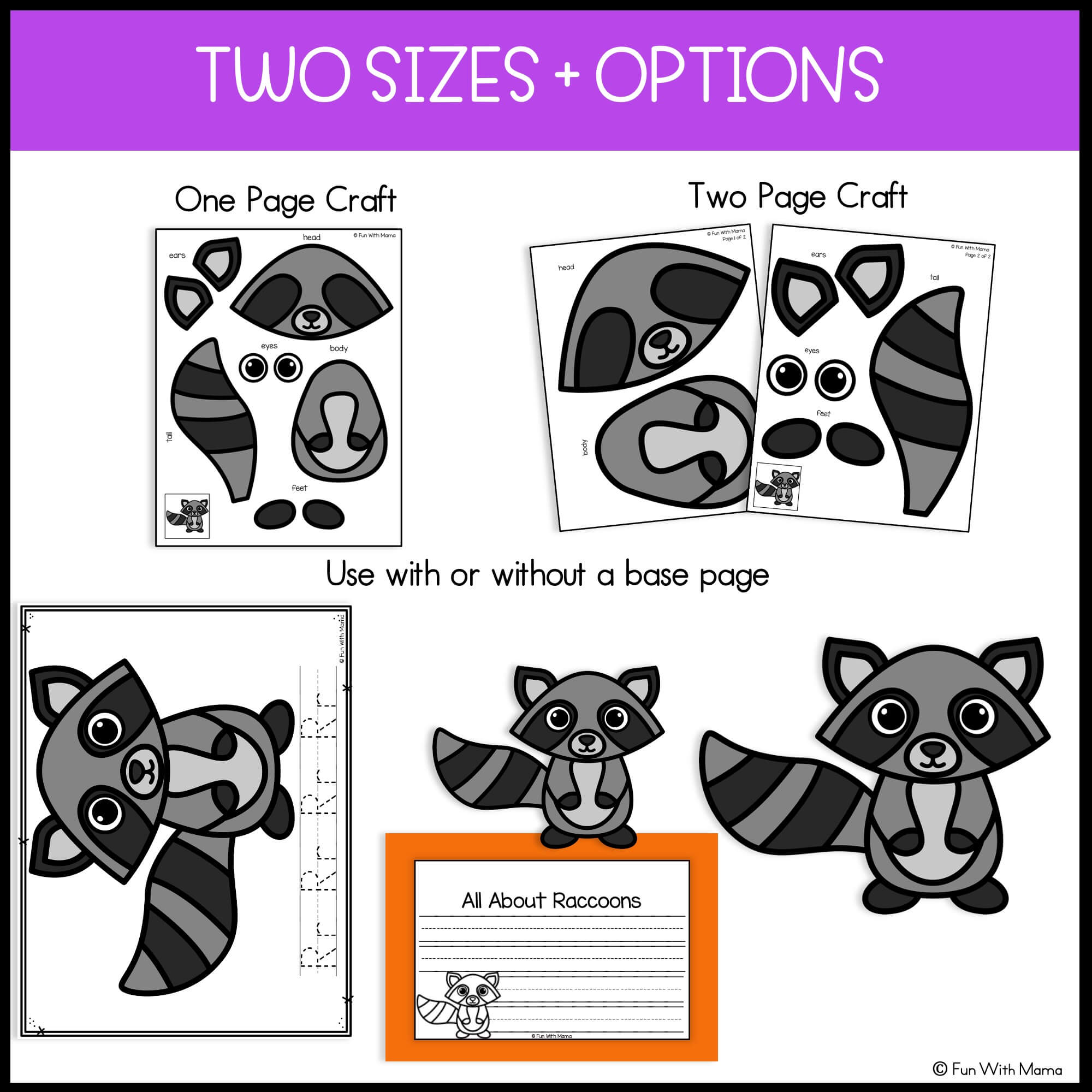 Raccoon Craft - Image 2